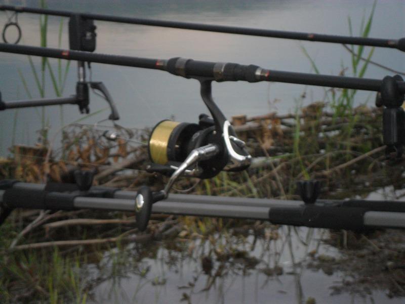 Green Paradise 28 - 30 iun. - sam0745.JPG